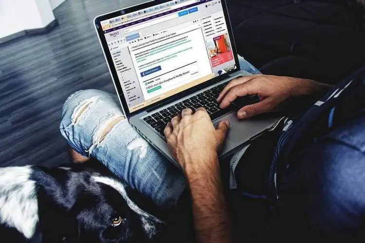 Strony-internetowe-Lodz-z-systemem-CMS