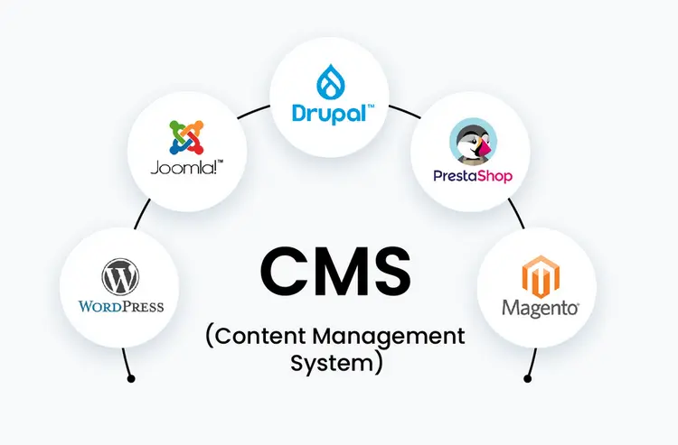 cms-system
